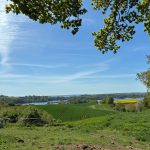 b6829a15-9c71-46c0-9fe8-2d4ed62fe166